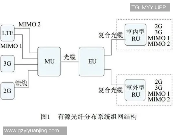 杭州篮球队的节奏解析与战术深度探讨全方位解读球队风格与表现
