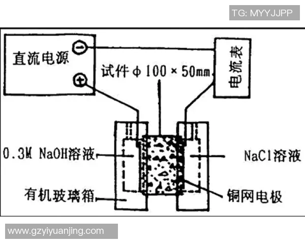 深圳乒乓球队边路渗透战术分析及其对比赛结果的影响探讨