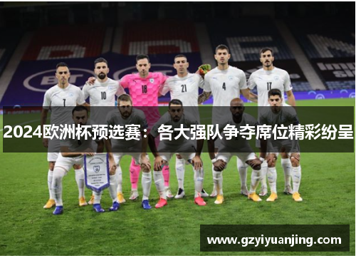2024欧洲杯预选赛：各大强队争夺席位精彩纷呈