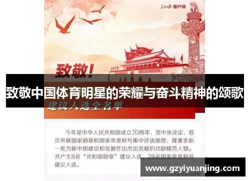 致敬中国体育明星的荣耀与奋斗精神的颂歌
