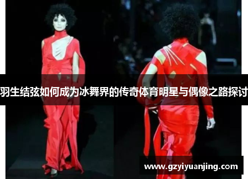 羽生结弦如何成为冰舞界的传奇体育明星与偶像之路探讨